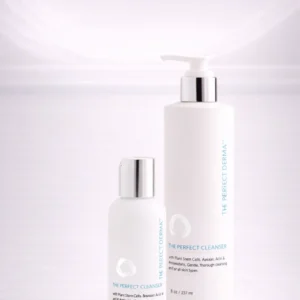 The Perfect Cleanser